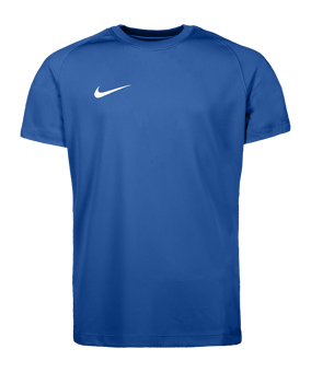 Nike Park VIII Trikot Kids Blau F463 - blau