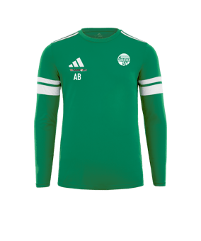 adidas Squadra 25 Trikot Langarm Grün