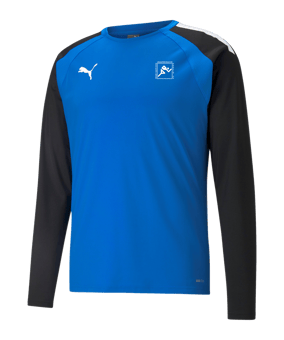 PUMA teamLIGA Trainig Sweatshirt Blau F02