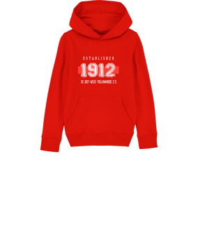 Merch Mini Cruiser 2.0 Hoody Kids Red FC004