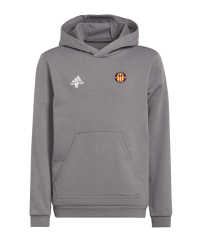 Sweat à capuche enfant adidas Entrada 22 Gris 