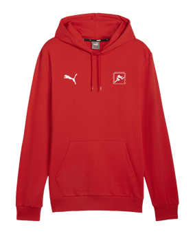 PUMA teamGOAL Casuals Hoody Rot F01