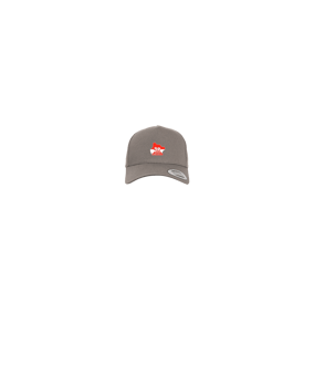 Merch 5 Panel Curved Snapback Cap Grey | #logo4c