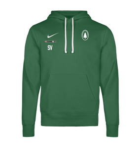 Nike Park 26 Hoody Grün F302