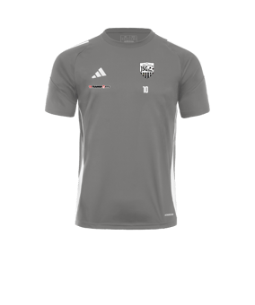 adidas Tiro 24 Trikot Grau Weiss