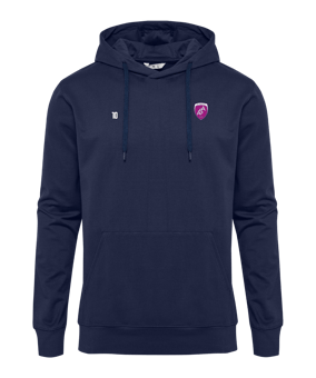 Sweat à capuche Hummel GO 2.0 bleus F7026 