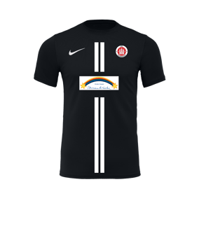 Nike Park VII Trikot kurzarm Schwarz F010