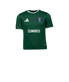 adidas Entrada 26 Camiseta Niños Verde 