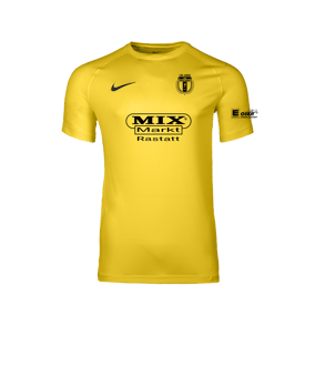 Nike Park VIII Trikot Gelb F719