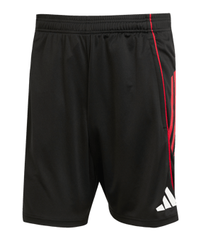 adidas Ajax Amsterdam Training Short Schwarz - schwarz