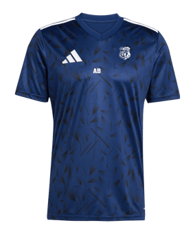 adidas Team Icon 25 Trikot Blau