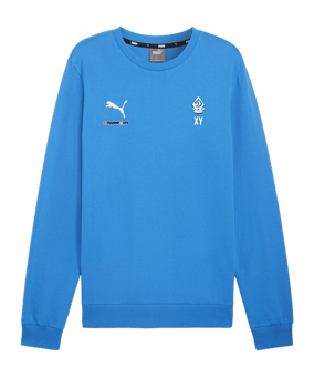 PUMA teamGOAL Casuals Sweatshirt Blau F02