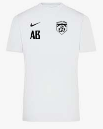 Nike Park VII Trikot kurzarm Weiss F100