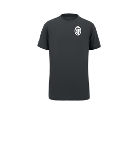 Nike Park 20 T-Shirt Kids Grau Weiss F071