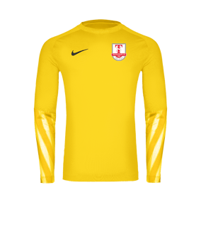 Nike Park V Trikot langarm Gelb F718