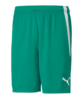 PUMA teamLIGA Short Grün Weiss F05 - gruen