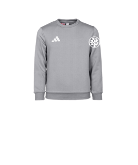 adidas Entrada 26 Sweatshirt Kids Grau