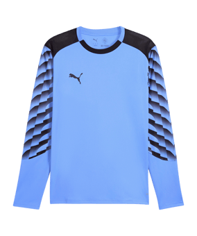 PUMA teamLIGA26 Torwarttrikot Langarm Blau F31 - blau
