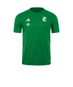 adidas Tabela 23 Trikot Grün Weiss
