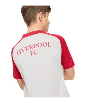 adidas FC Liverpool Pre Match Trikot 2026/2027 Kids Grau - grau