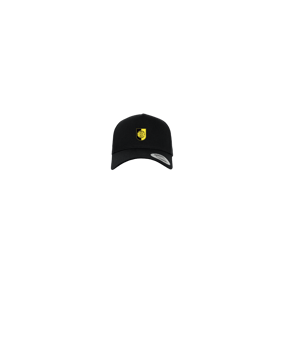 Merch 5 Panel Curved Snapback Cap Schwarz