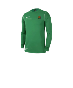 Nike Park 20 Sweatshirt Kids Grün Weiss F302