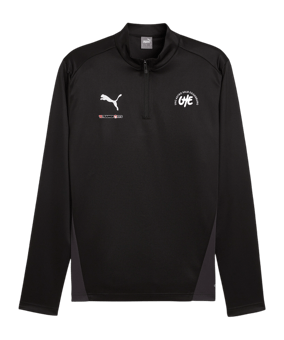 PUMA teamGOAL Training 1/4 Zip Sweatshirt F03