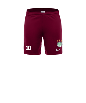 Nike Park III Short Rot F677