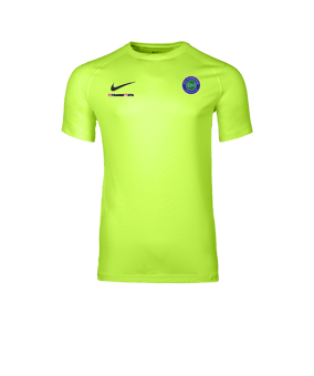 Nike Park VIII Trikot Grün F702