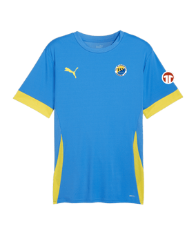 PUMA teamGOAL Matchday Trikot Blau Gelb F16