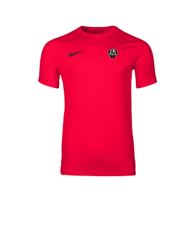 Nike Park VIII Maillot Rouge C635
