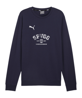 PUMA teamGOAL Casuals Sweatshirt Blau F06