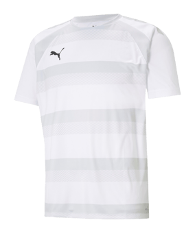 PUMA teamVISION Trikot Weiss Grau F04 - weiss