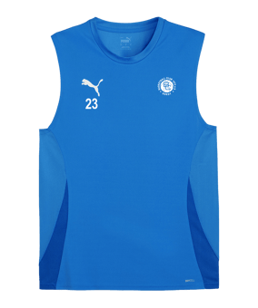 PUMA teamGOAL Tanktop Blau Weiss F02