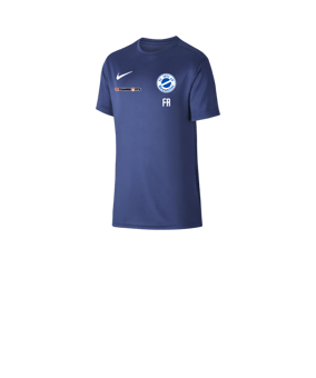 Nike Park VII Trikot kurzarm Kids Blau F410