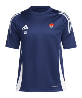 adidas Tiro 24 Trikot Kids Blau Weiss