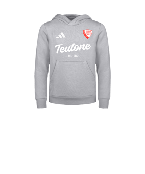 adidas Entrada 26 Hoody Kids Grau