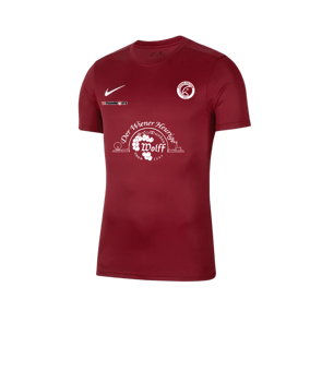 Nike Park VII Trikot kurzarm Rot F677