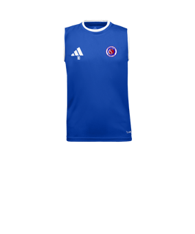 adidas Entrada 26 Maillot Enfants Bleu