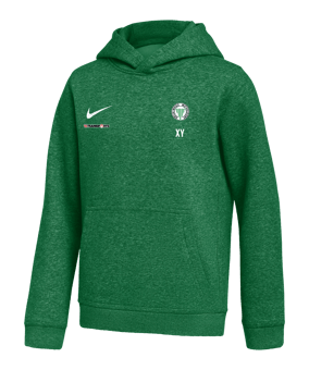 Nike Park 26 Hoody Kids Grün F302