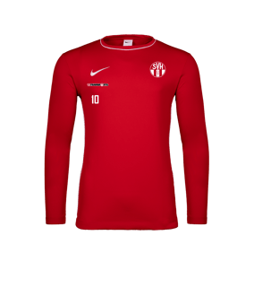 Nike Park 26 Longsleeve Rot F657