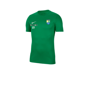 Nike Park VII Trikot kurzarm Kids Grün F302