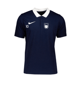 Nike Park 20 Poloshirt Blau Weiss F451