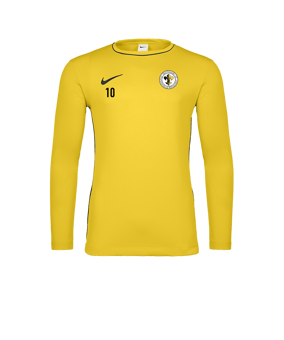 Nike Park 26 Longsleeve Gelb F719