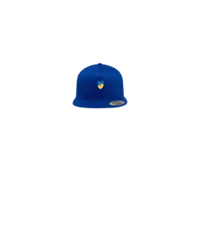 Merch 5 Panel Classic Snapback Cap Royal Green | logo4c