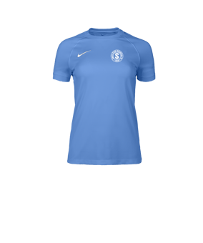 Nike Park VIII Trikot Damen Blau F412