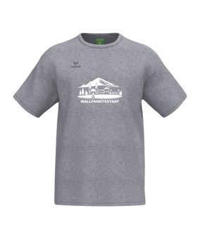 Erima CMPT T-Shirt Grau