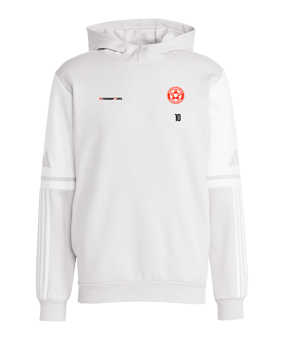 adidas Squadra 25 Hoody Grau
