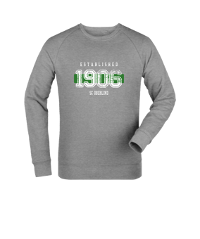 Merch Roller Sweatshirt Heather Grey FC250