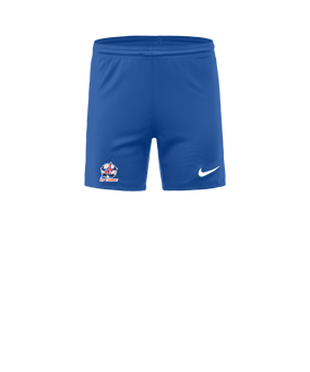 Nike Park III Court Femmes Bleu C463 